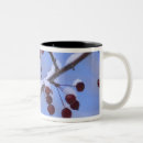 Search for engelbrecht mugs Reading