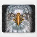 Search for bald eagle mousepads Raptors