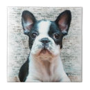 Search for french bulldog tiles Bulldogs