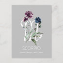 Search for zodiac postcards Watercolor