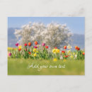 Recherche de fleurs de tulipe cartes postales Pour elle