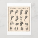 Search for beards postcards Vintage