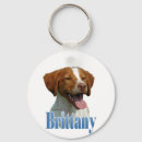 Search for brittanys keychains Brittany spaniel