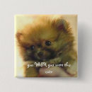 Search for pomeranian puppy accessories Cute