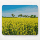 Recherche de fleurs champ tapis souris Printemps