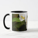 Recherche de gallo tasses Jour