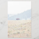 Search for bison personal stationery Yellowstone