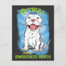 Recherche de chiot pitbull cartes postales Terrier