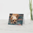 Recherche de compagnon vœux cartes Chien
