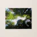 Search for redwood national park puzzles Nature