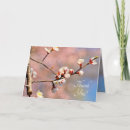 Search for spring bud cards Flower