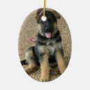 Recherche de chiot berger allemand ornements Chien