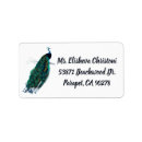 Search for peacock feather return address labels Trendy