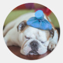 Recherche de sickers stickers Mignon