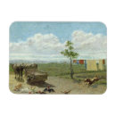 Recherche de basse cour magnets Scènes