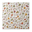 Recherche de champignon carreaux Motif