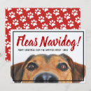 Search for funny pet photo christmas cards Red