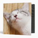 Search for sleep binders Kitten