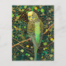 Search for native bird postcards Australian