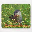 Search for groundhog day electronics Cute