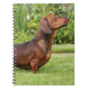 Search for dachshund notebooks Zwergteckel