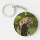 Search for squirrel keychains Wild animal