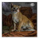 Search for puma mountain cat posters Wildlife