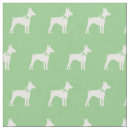 Search for rat terrier Cute