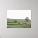 Search for dairy cow canvas prints Farm
