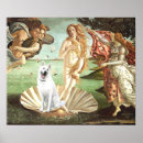 Search for white german shepherd Dogs