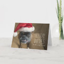 Recherche de boxeurs vœux cartes Animaux domestiques