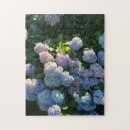 Search for hydrangea puzzles Summer