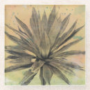 Search for cacti coasters Botanical