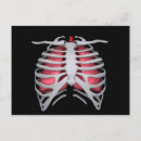 Recherche de cage thoracique cartes postales Soins de santé