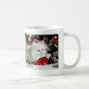 Search for persian mugs Kittens