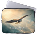 Search for storm electronics Nature