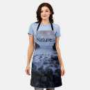 Search for shoreline aprons Sea