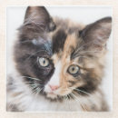 Search for 2015 barware Baby animals