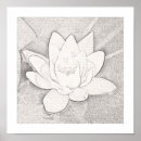 Search for lotus flower posters Meditation