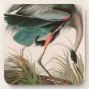 Search for bird watcher barware Nature