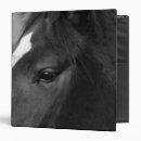 Search for equine binders Black