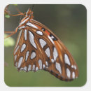 Search for vanilla stickers White