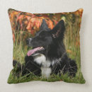 Recherche de de border collie coussins Plomb et pam langrish