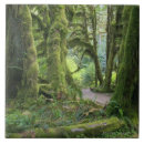 Search for national park tiles Moss