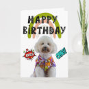 Search for poodle cards Humour