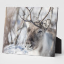 Recherche de renne plaques Rudolph
