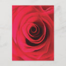 Recherche de bourgeon cartes postales Rouge