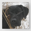 Recherche de chasse de canard horloges Labrador