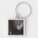 Search for caldera keychains Satellite view