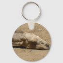 Search for sand art keychains Desert